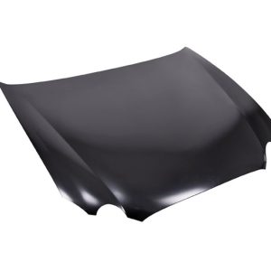 COFRE BK LACROSEE 05-09 CXL/CXS/CX V6 6CILINDROS 3.0/3.6/3.8L 4 PUERTAS